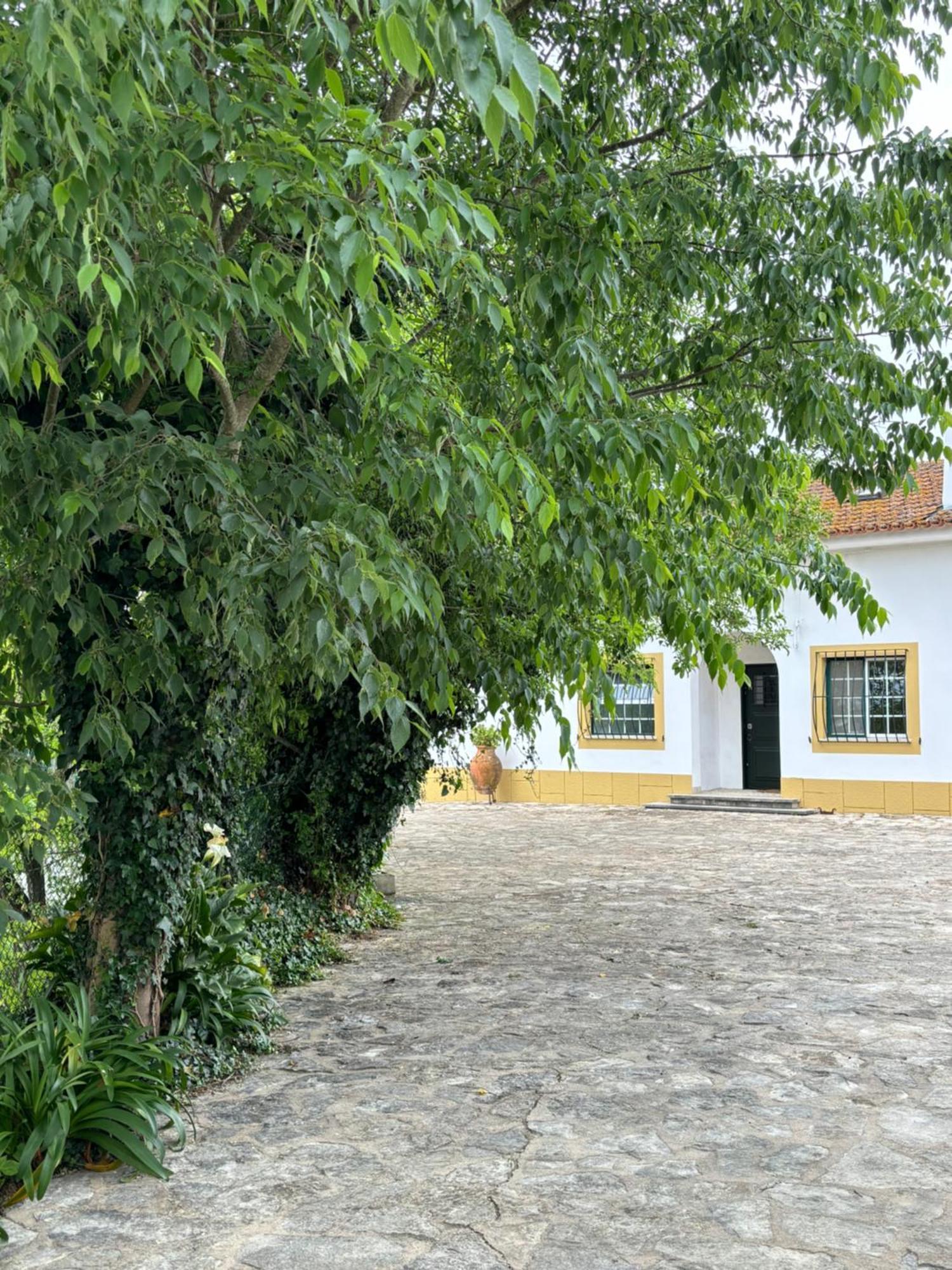 Casa Da Nogueira Villa Tomar Ngoại thất bức ảnh