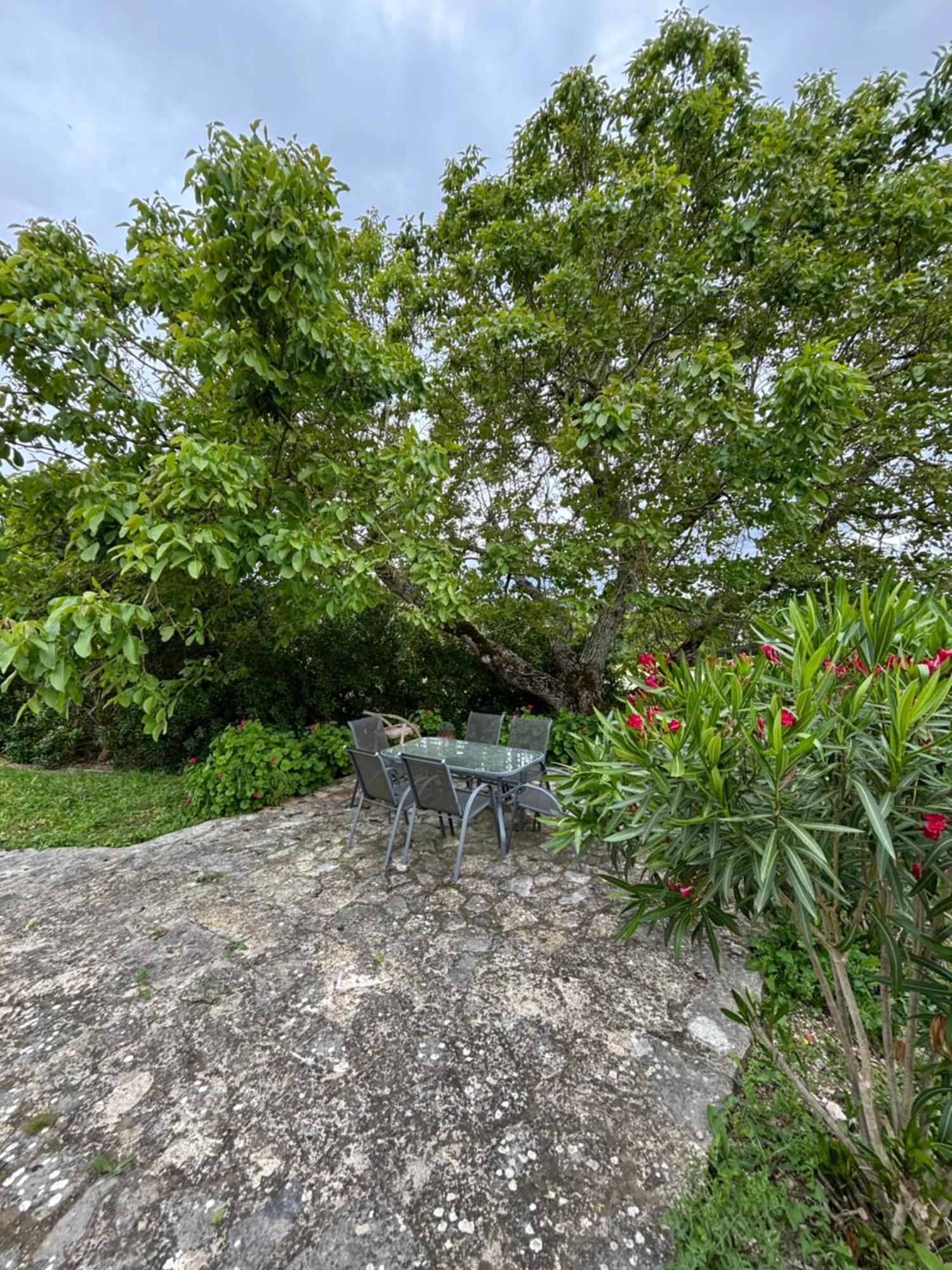 Casa Da Nogueira Villa Tomar Ngoại thất bức ảnh
